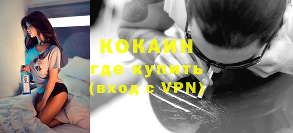 индика Аркадак