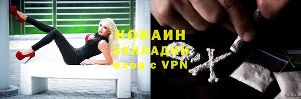 индика Аркадак
