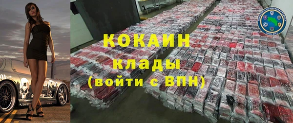 индика Аркадак