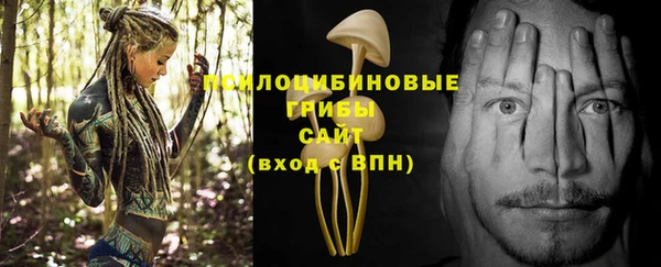 индика Аркадак