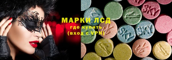 индика Аркадак