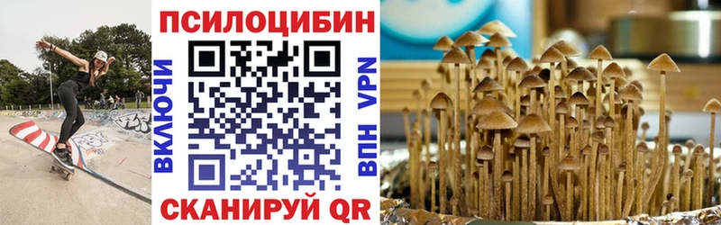 Псилоцибиновые грибы прущие грибы  Байкальск 
